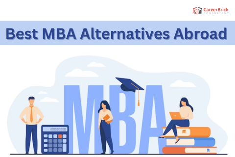 Best MBA Alternatives abroad