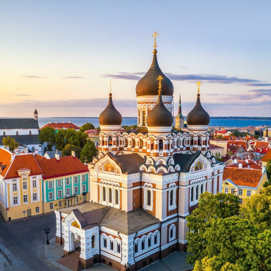 Why study in Estonia