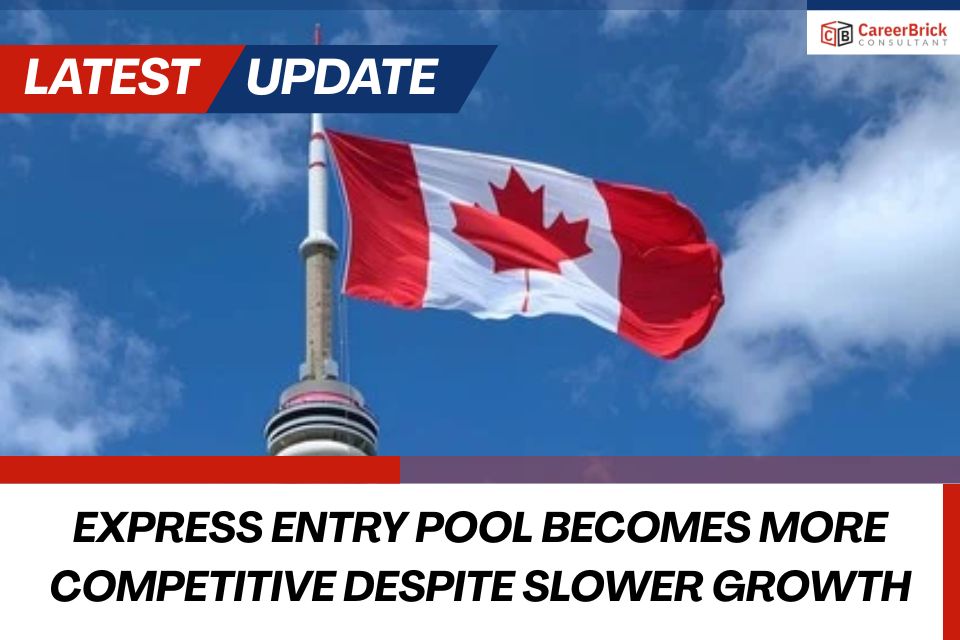 Express Entry Pool Becomes More Competitive Despite Slower Growth