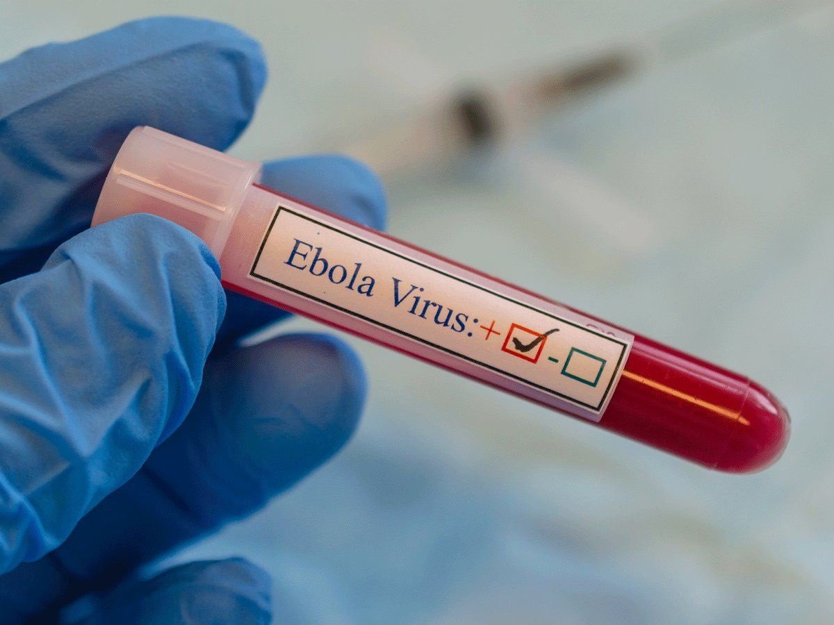 Ebola Virus in Congo updates: WHO confirms new virus outbreak, 6 cases so far