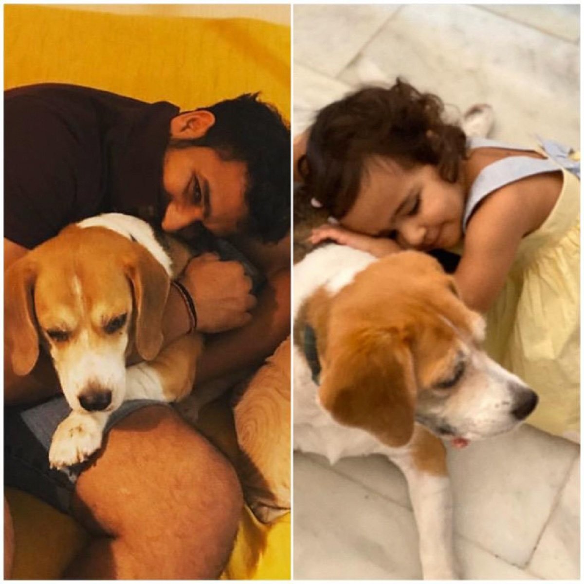 International Dog Day: See pictures of cricketers & their doggos! 