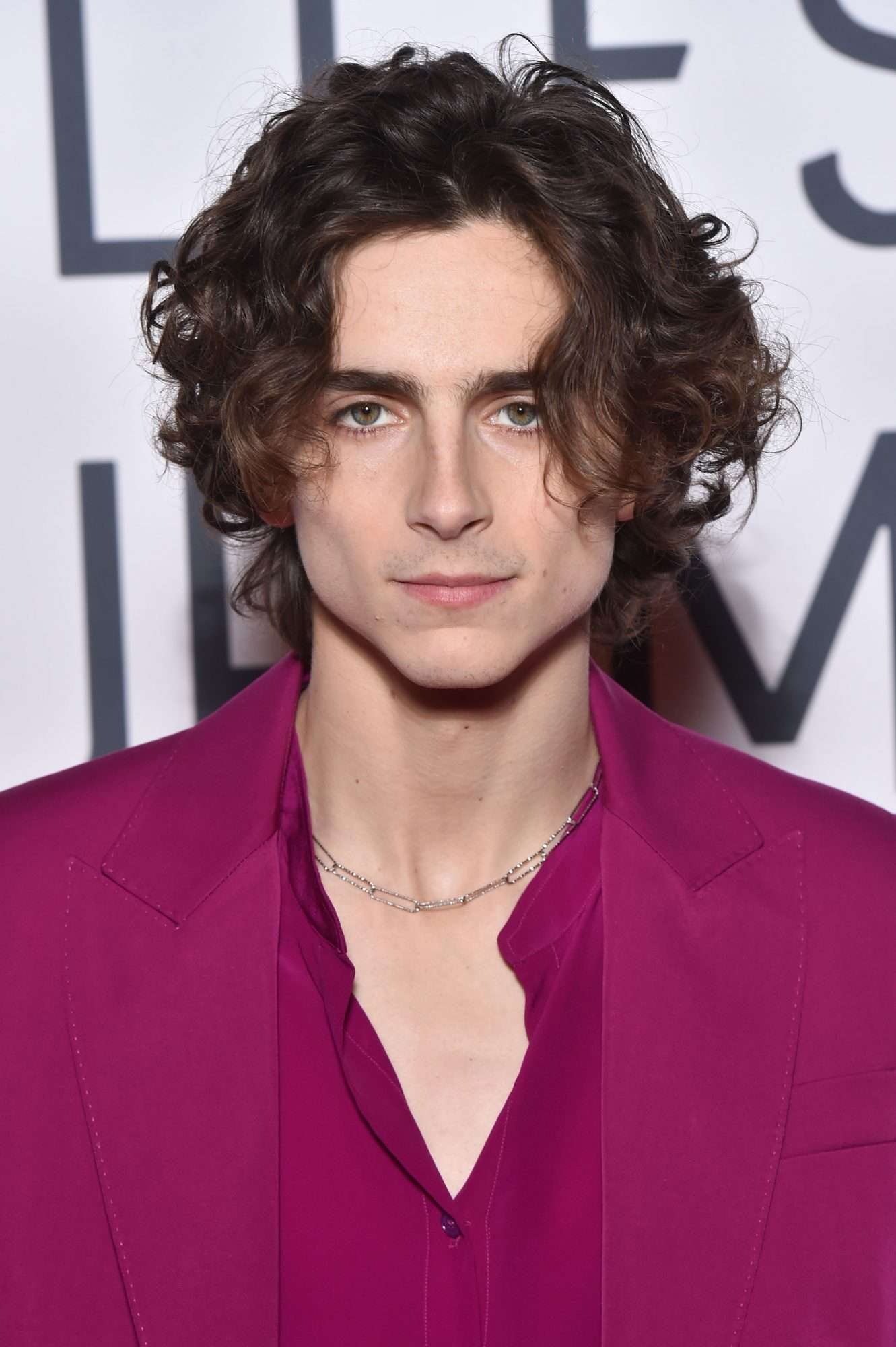 Timothée Chalamet Age, Biography, Height, Place of Birth, News & Photos