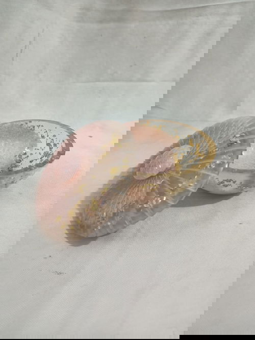 Resin Bowl  Image