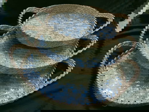 Resin tray  Image