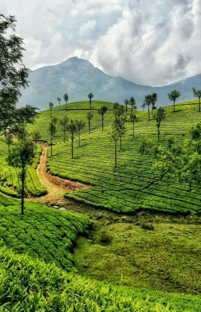 Kerala