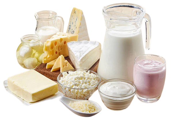 Dairy