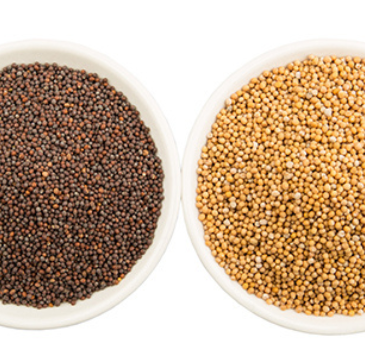 Mustard Seeds