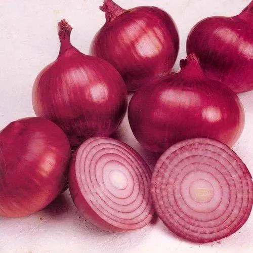 Onions (Red / White)