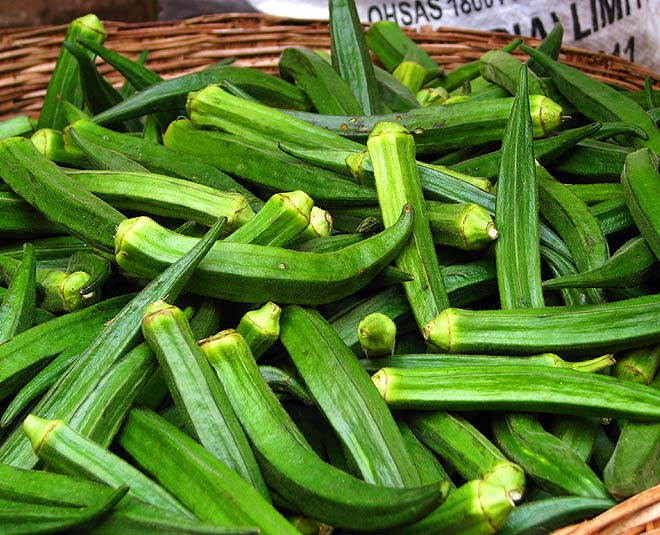 Okra (Lady Finger)