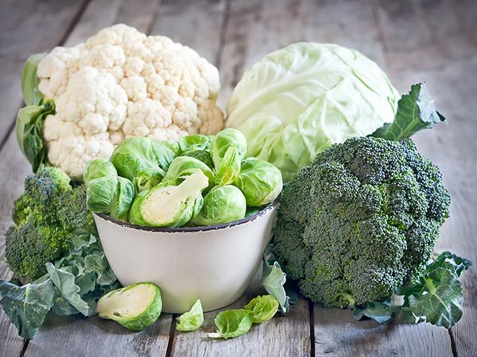 Cabbage