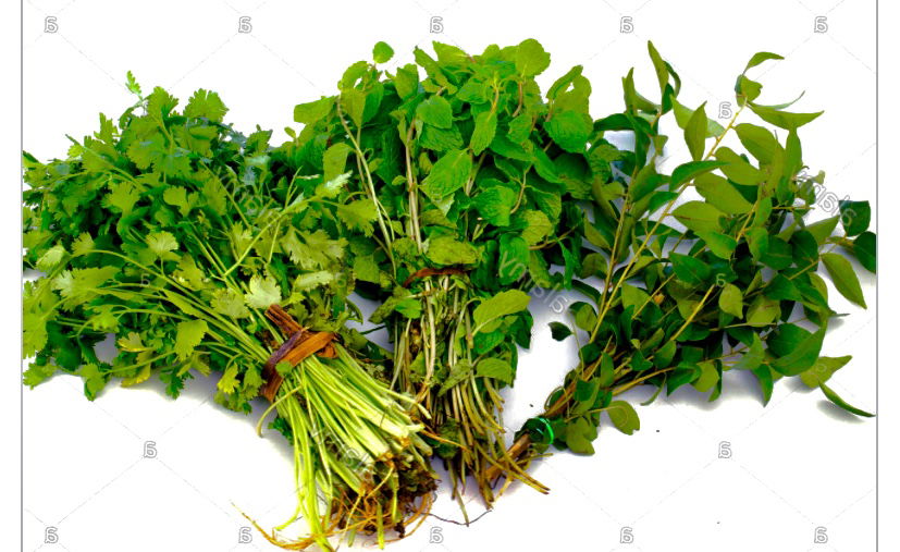 Coriander, Mint & Curry Leaves