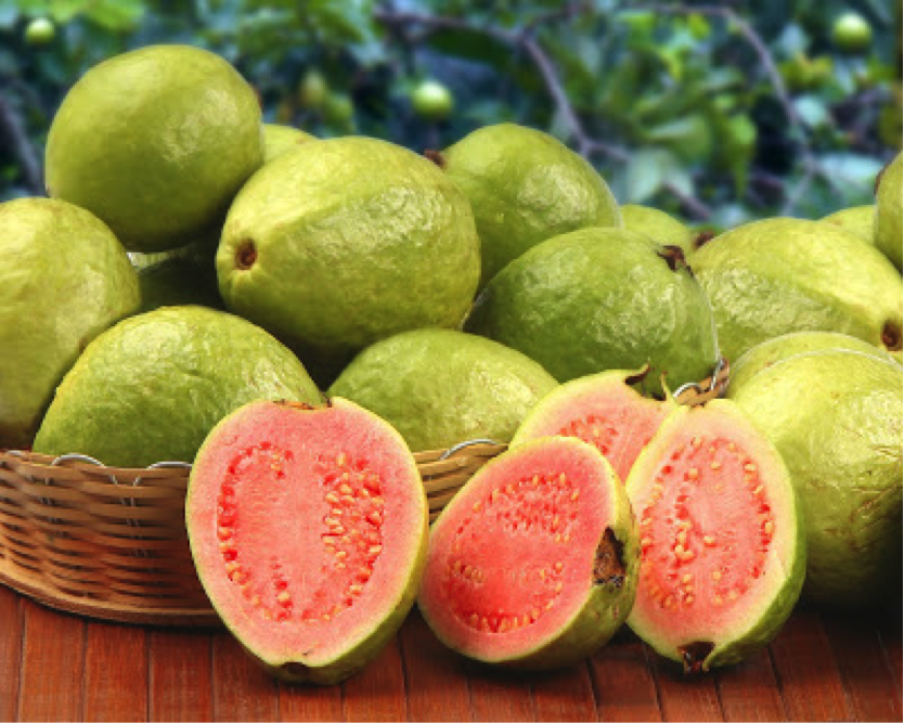 Guava (Pink & White)