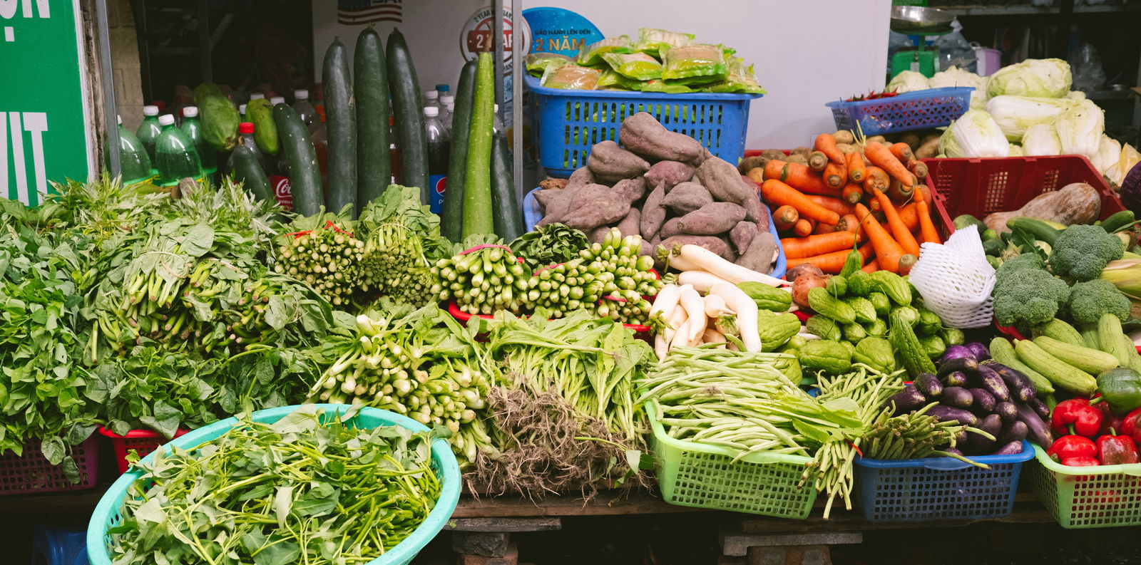 Organic Farming Inside