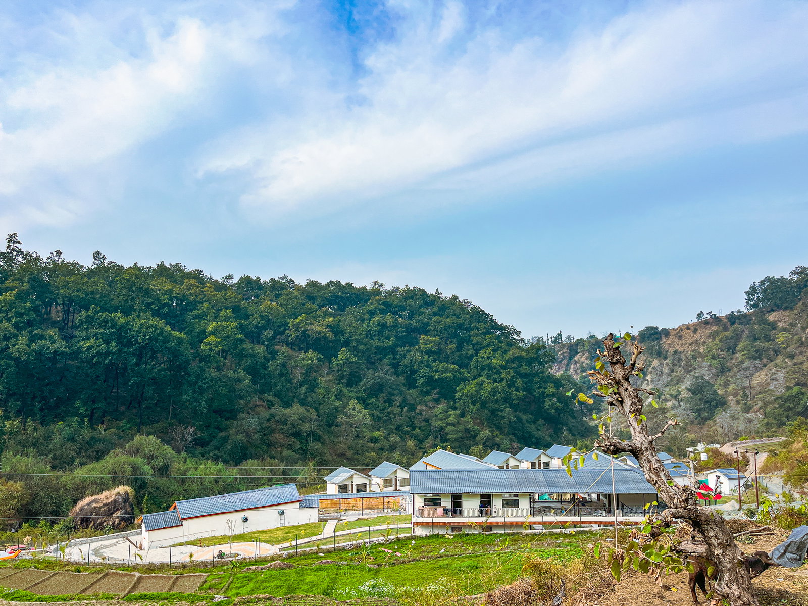 360° Mountain & Forest Views