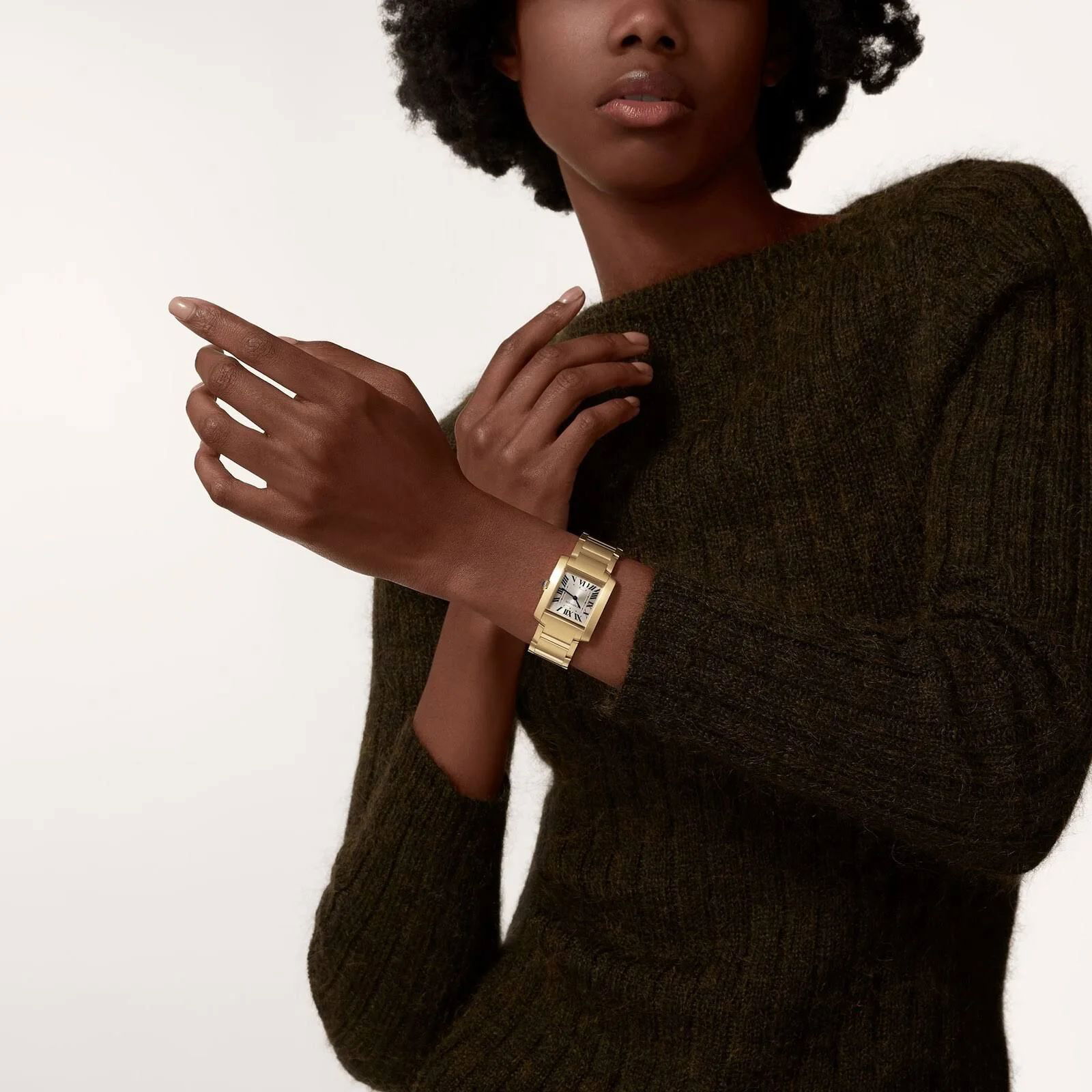 titan watch Image