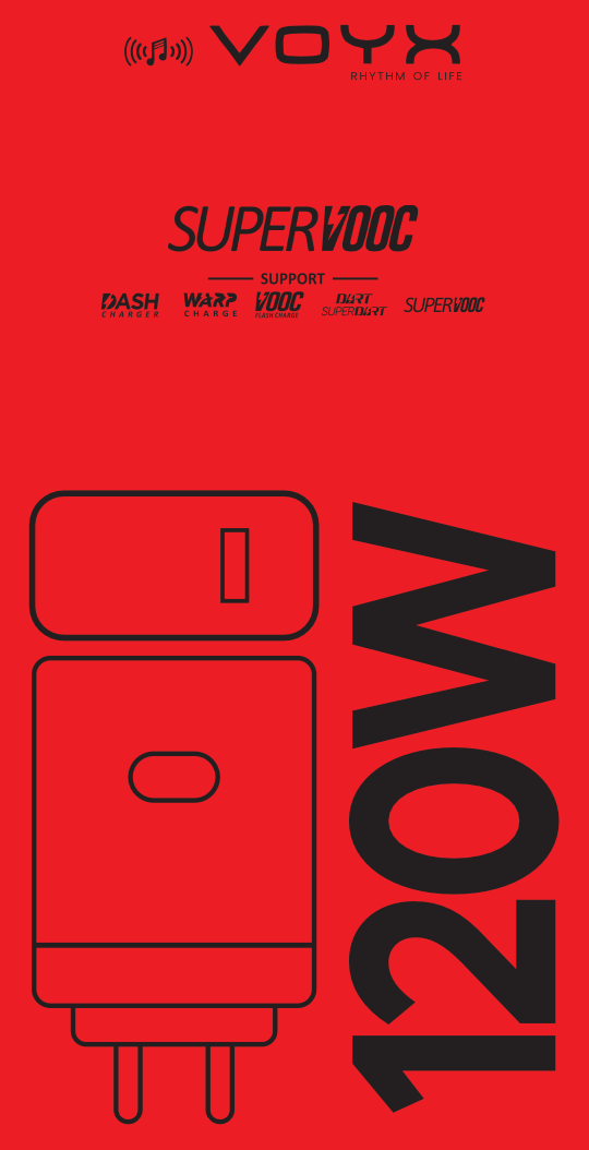 VX-120 CHARGER 120W Image