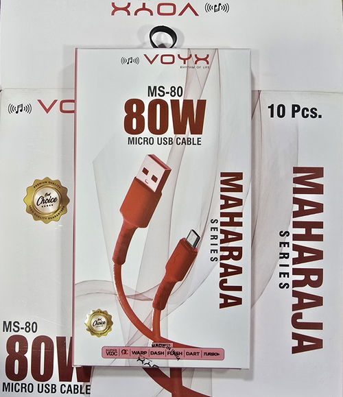 MS-80 MICRO 80W Image