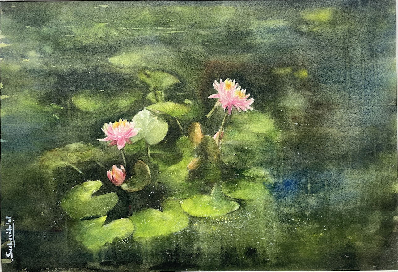 Lily Pond Shine Image