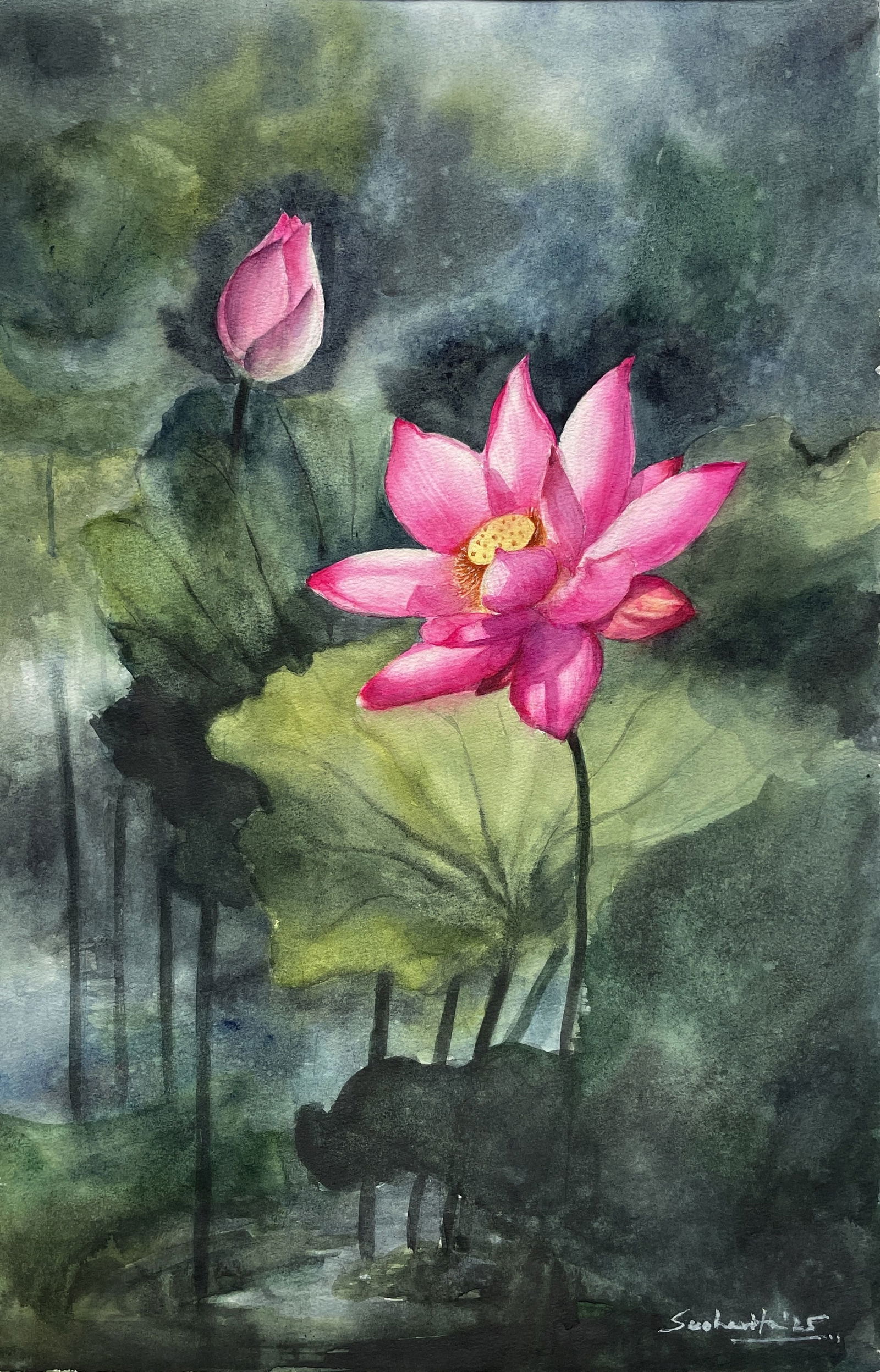 Rani Pink Lotus with bud Image