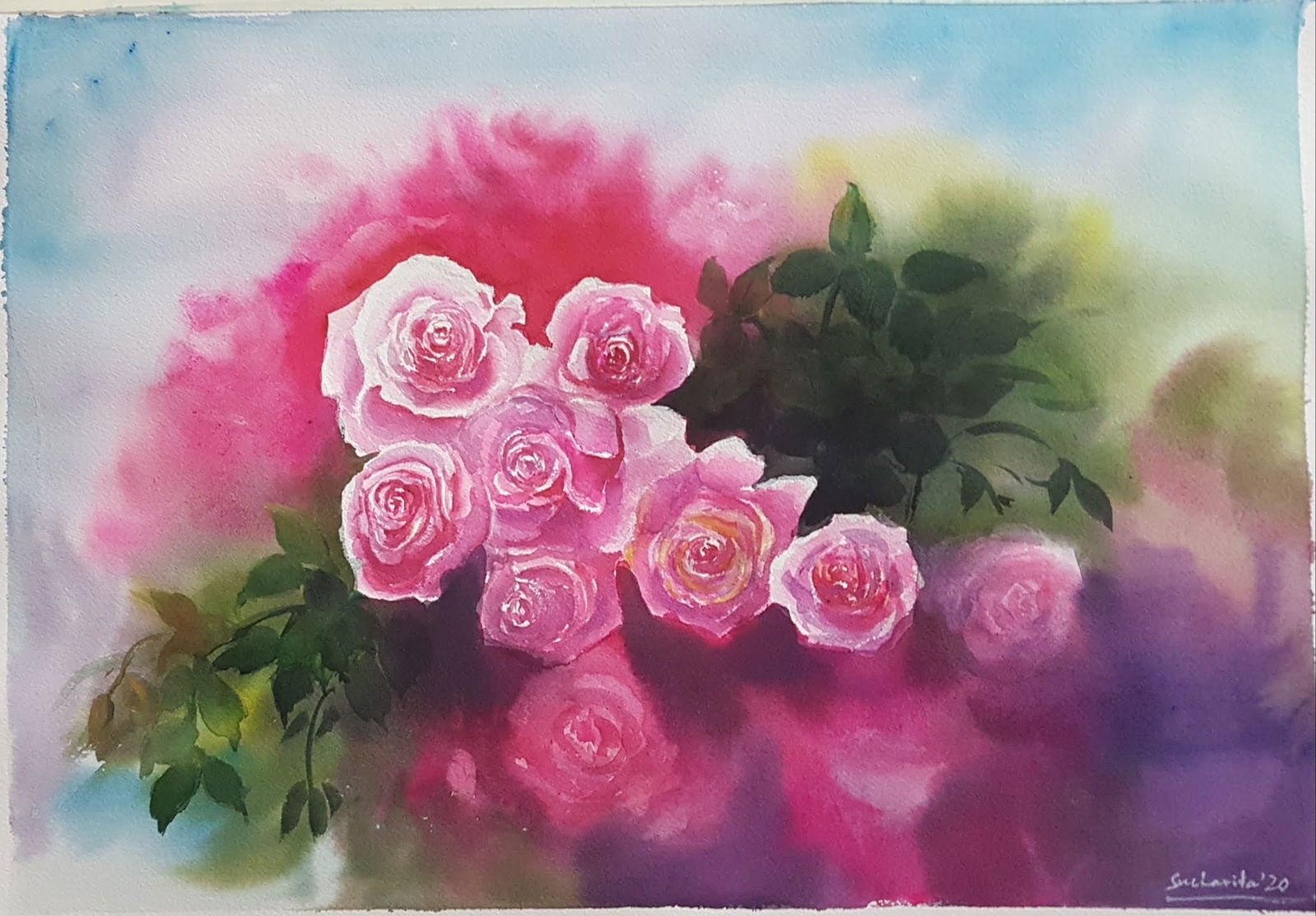 Rosé Symphony Image