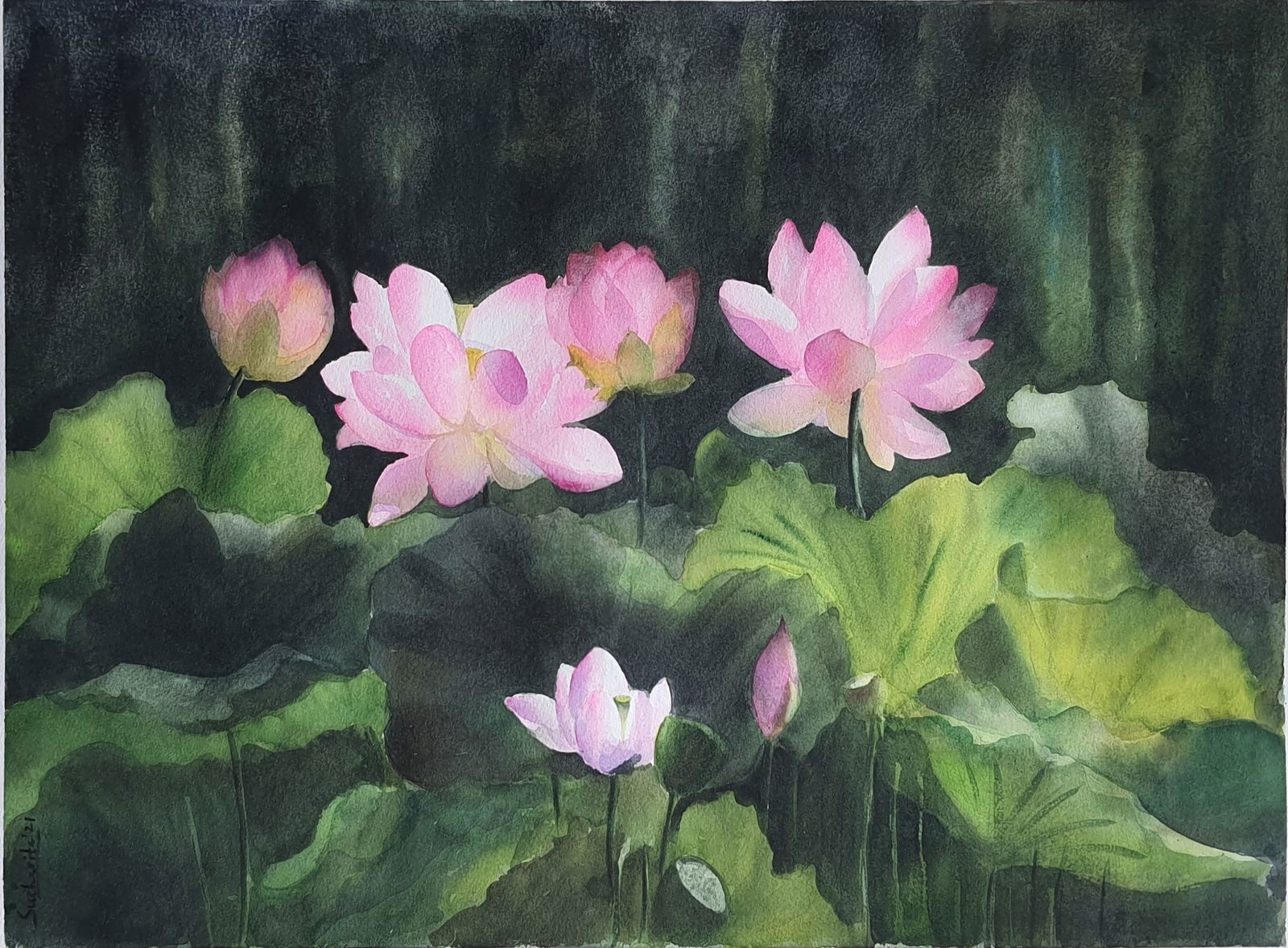 The Gentle Awakening Image