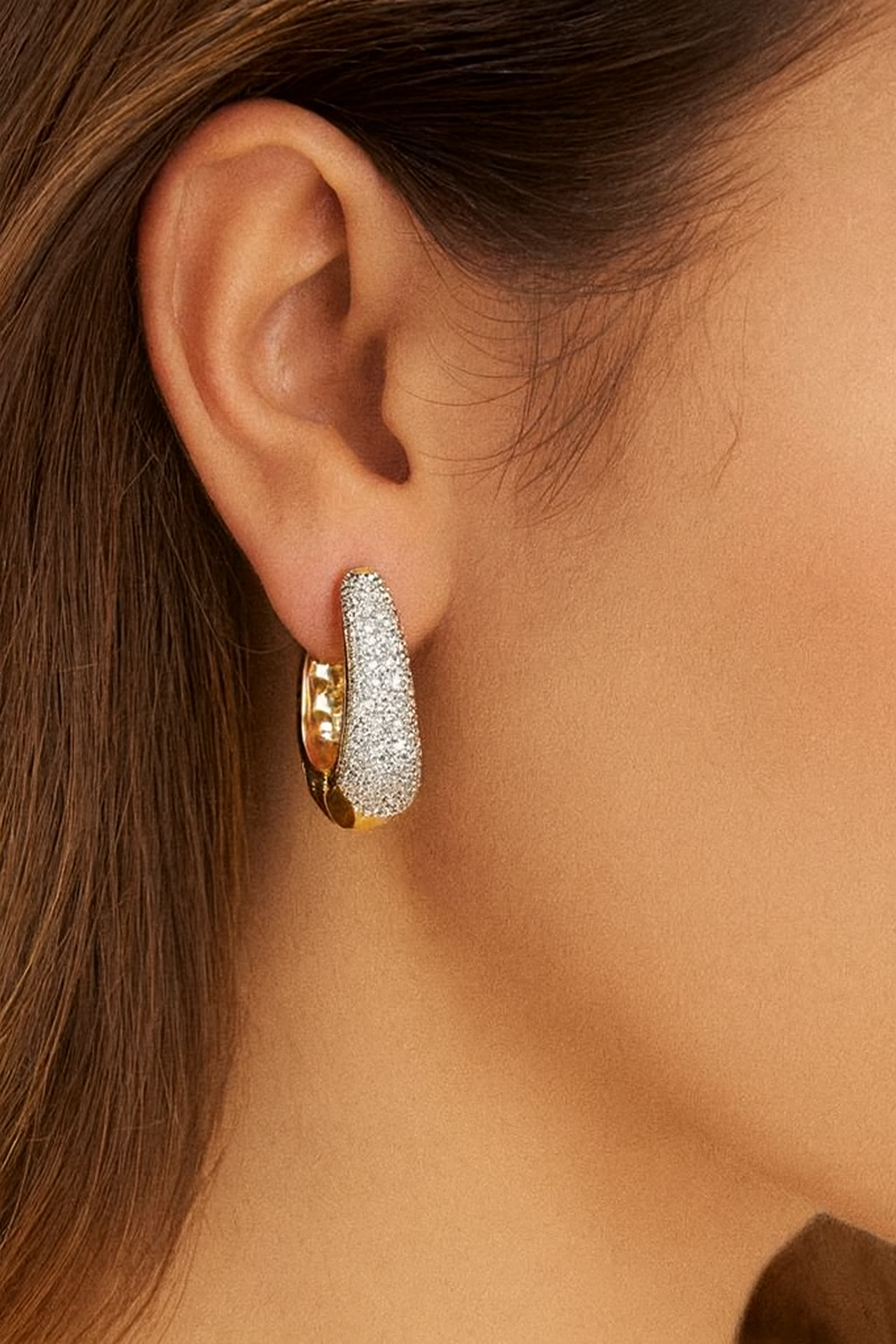 Luxury Gold & Diamond Paved Hoop Earrings Image