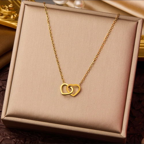 Elegant Double Heart Necklace Image