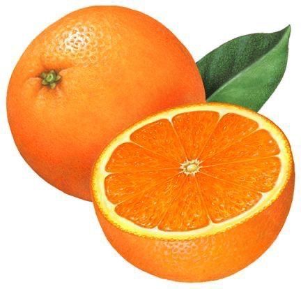 SEASONAL / MUSAMMI Image