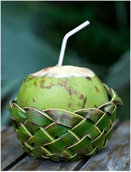 COCONUT Image