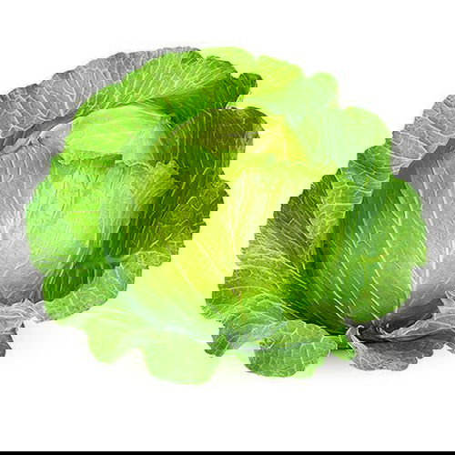 CABBAGE / PATTAGOBHI Image