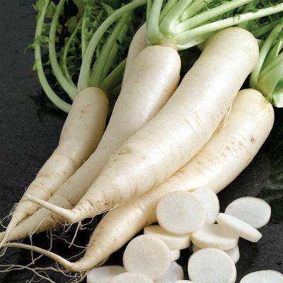 RADISH / MULI  Image