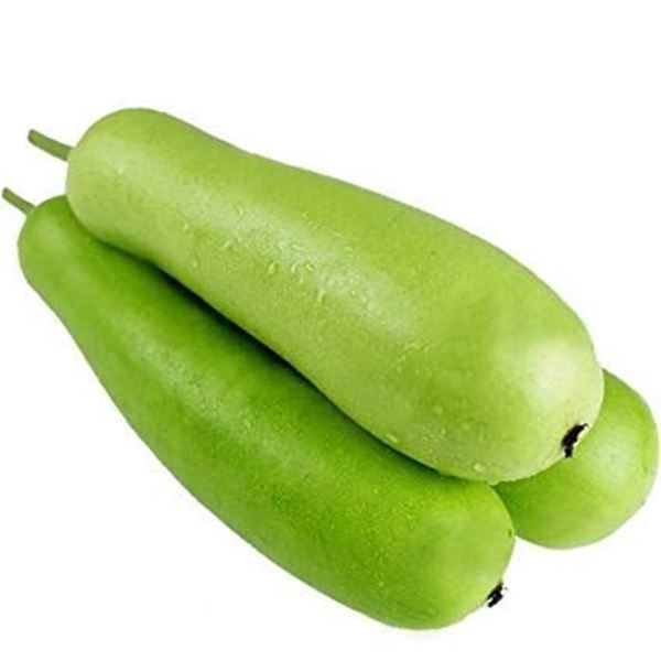 BOTTLEGOURD / LAUKI Image