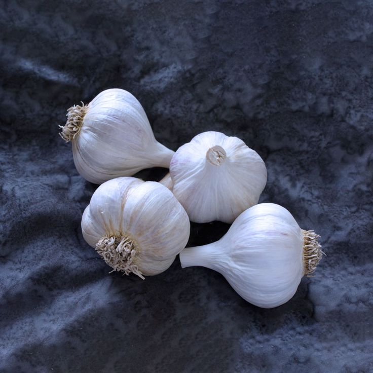 GARLIC / LAHSUN Image