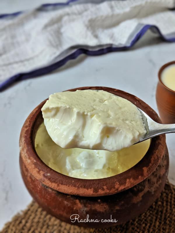 Desi Dahi Image