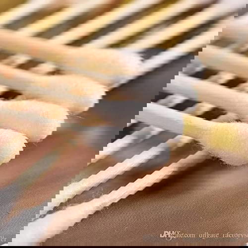 Ear Buds Cotton Image