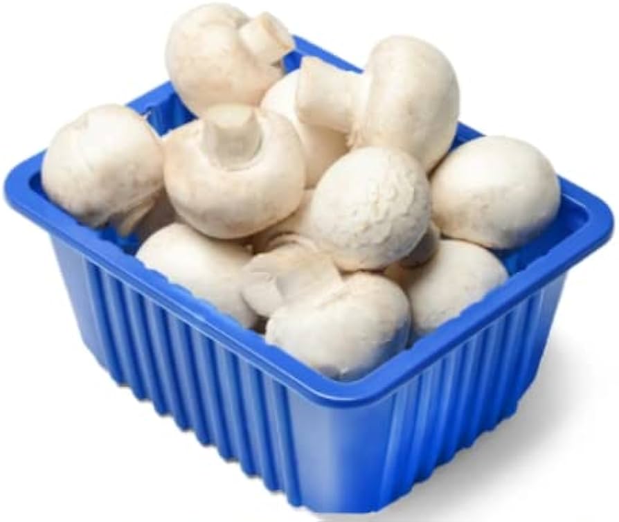 Mashroom Image