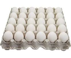 Egg Tray Image