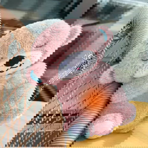 BREATHING TEDDY  Image