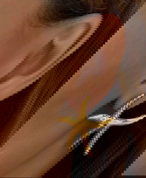 STAINLESS STEEL STAR FISH EARRINGS