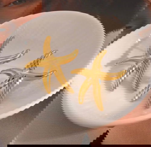 STAINLESS STEEL STAR FISH EARRINGS Image