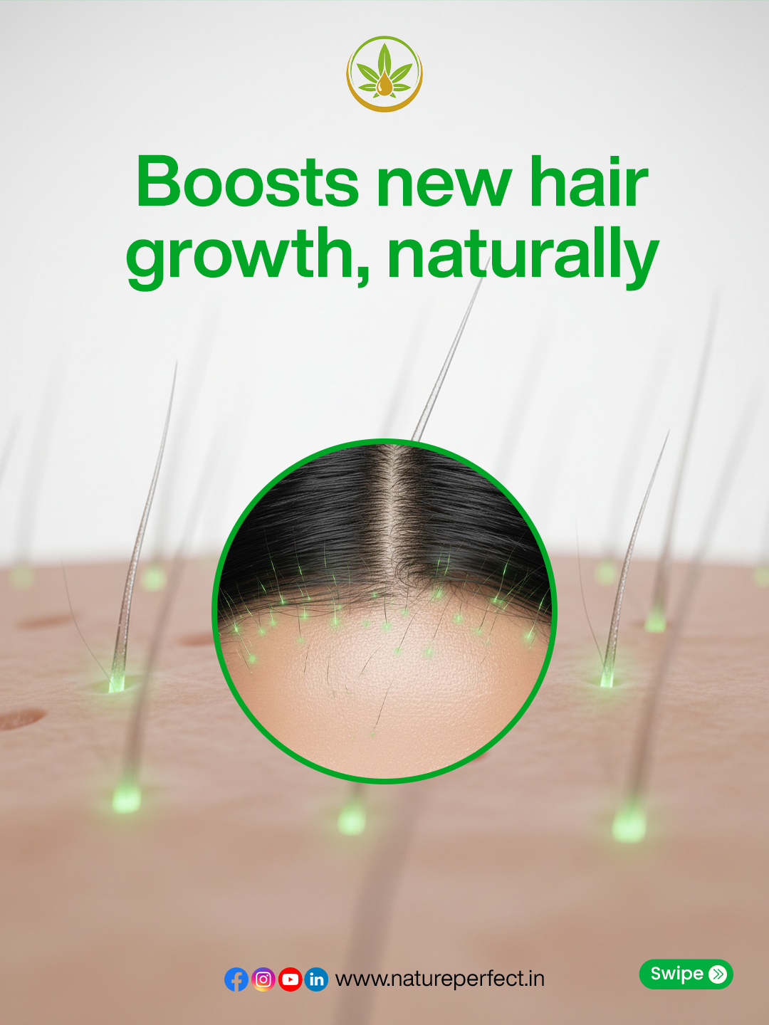 GrowMore (Hair Growth & Hair Fall Control Powder) Image 