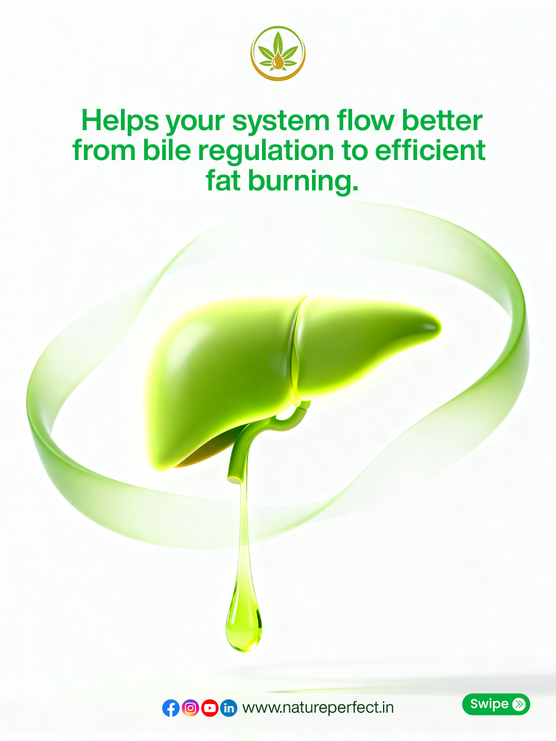 Livanta (Liver Care & Detox Herbal Powder) Image 