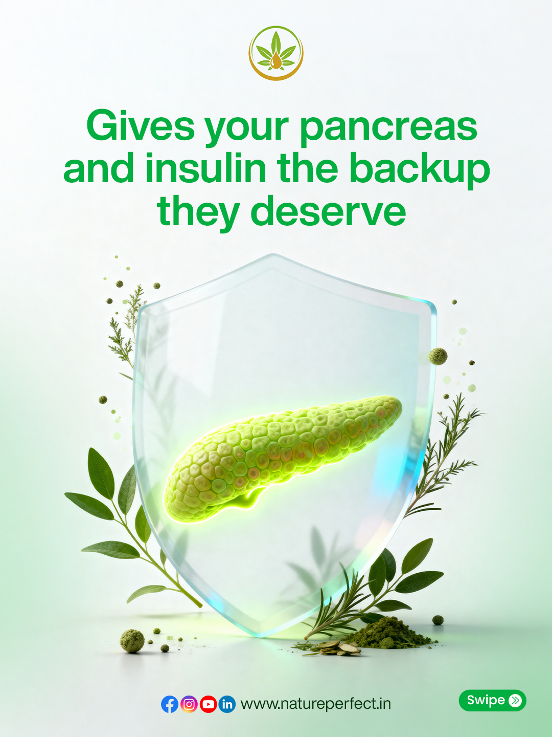 SugerSheild (Diabetes Control Powder) Image 