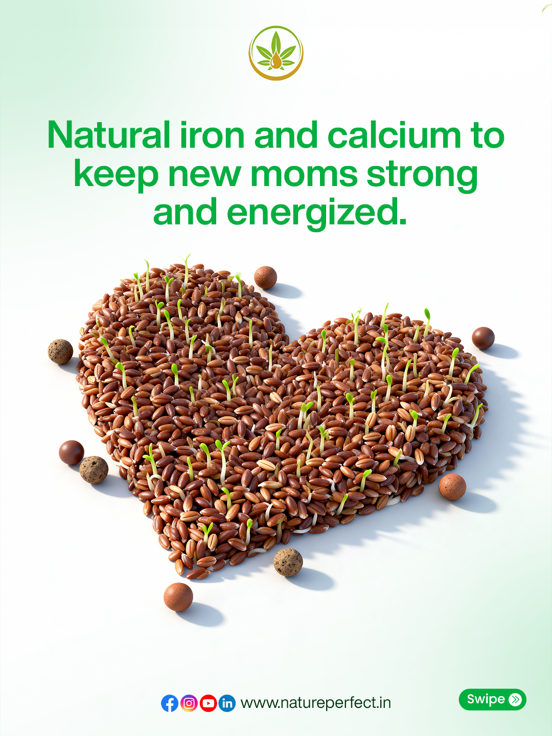 RagiPlus (Sprouted Ragi Powder) Image 