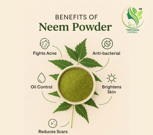 Neem Powder         (PACKOF2)