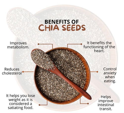 Chia Seeds  (PACKOF 2)