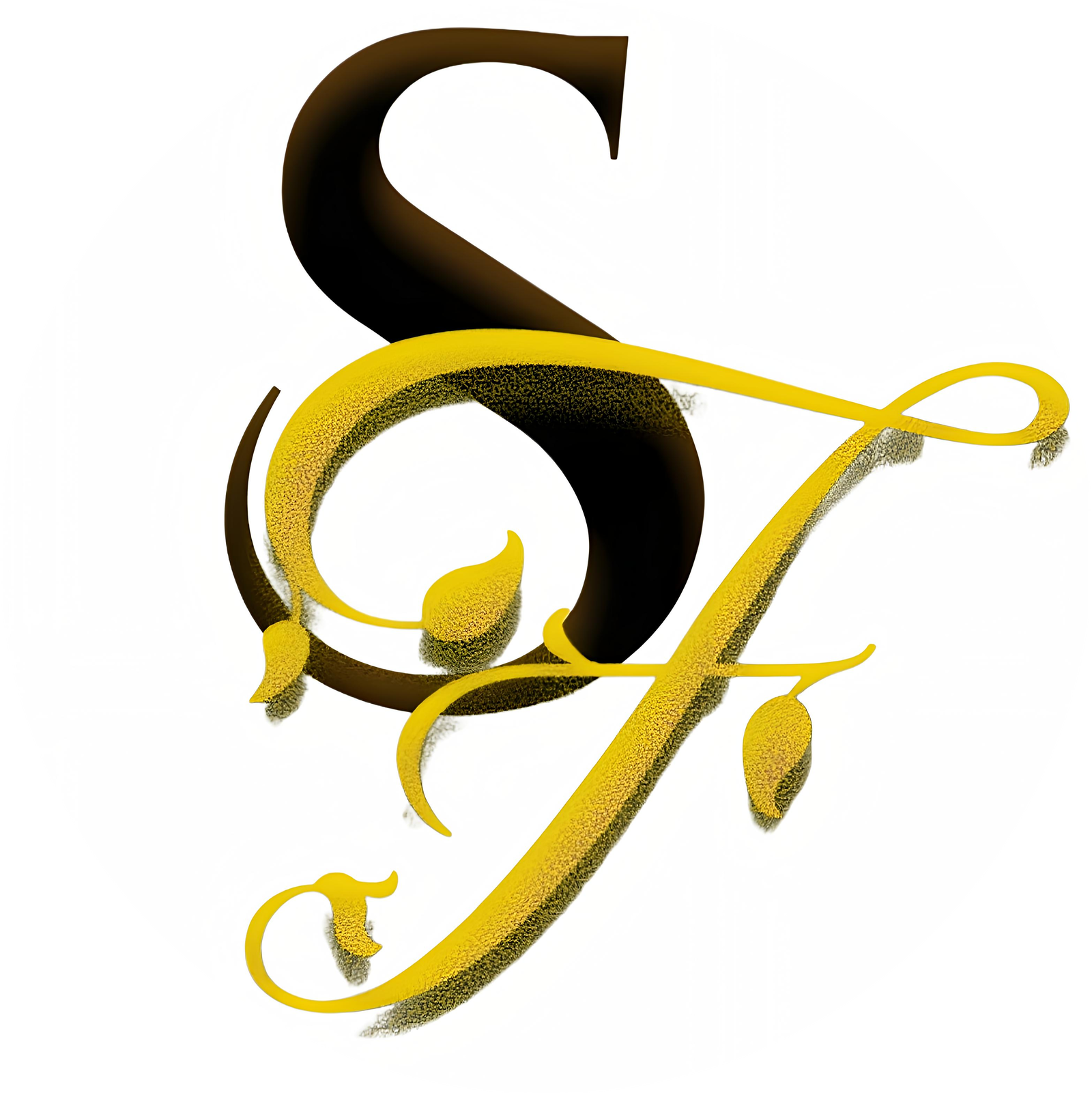 JoonWeb Quick Checkout Brand Logo