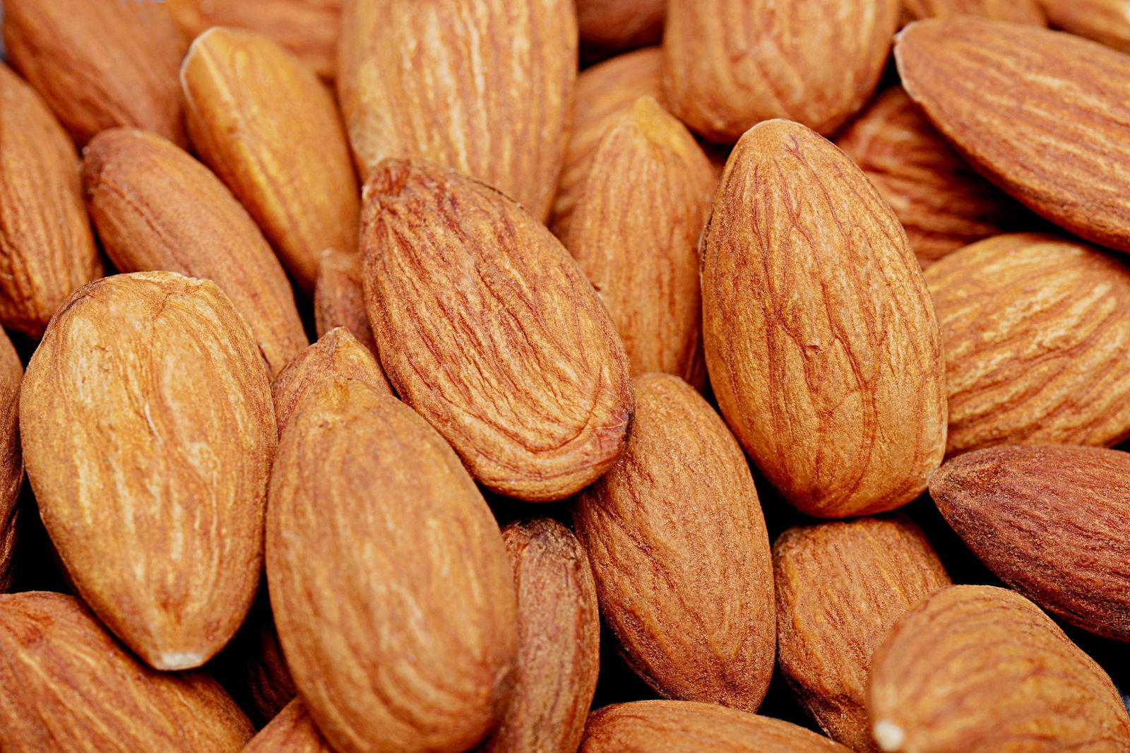 California Almonds Image