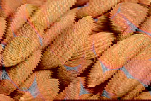 California Almonds Image