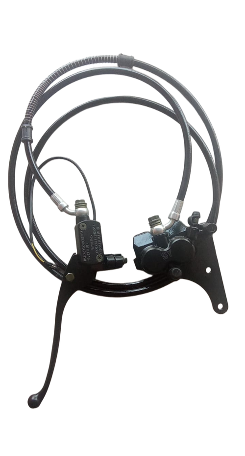 Rear Disc Brake Assembly  Image